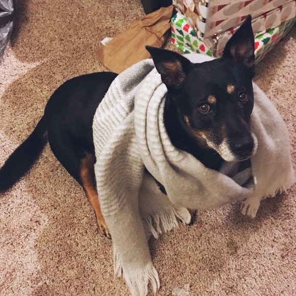 Welcome, Mika!! - Picture 3 of 8